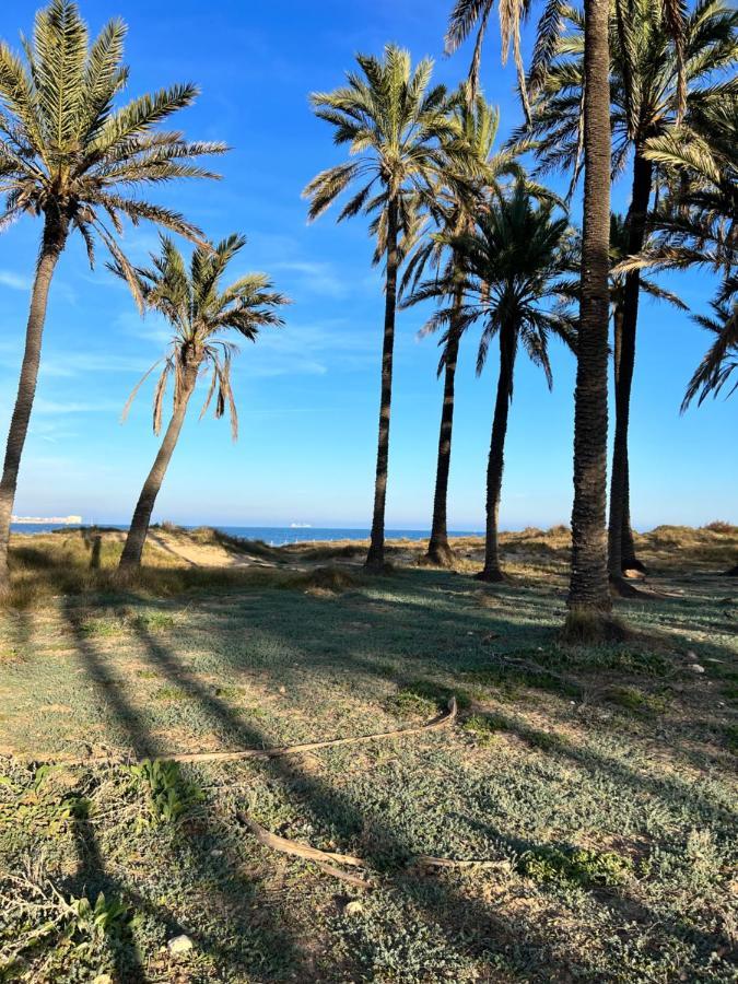 Gound Floor Bungalow Jumilla III Playa Flamenca Dehesa de Campoamor  Buitenkant foto
